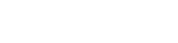 BIzLink Logo white